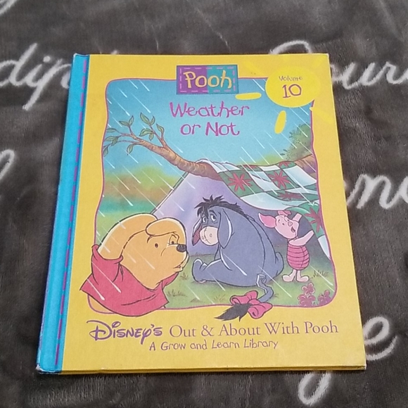 EUC Disney Winnie The Pooh Weather or Not Hard Cover Book Hardcover Book